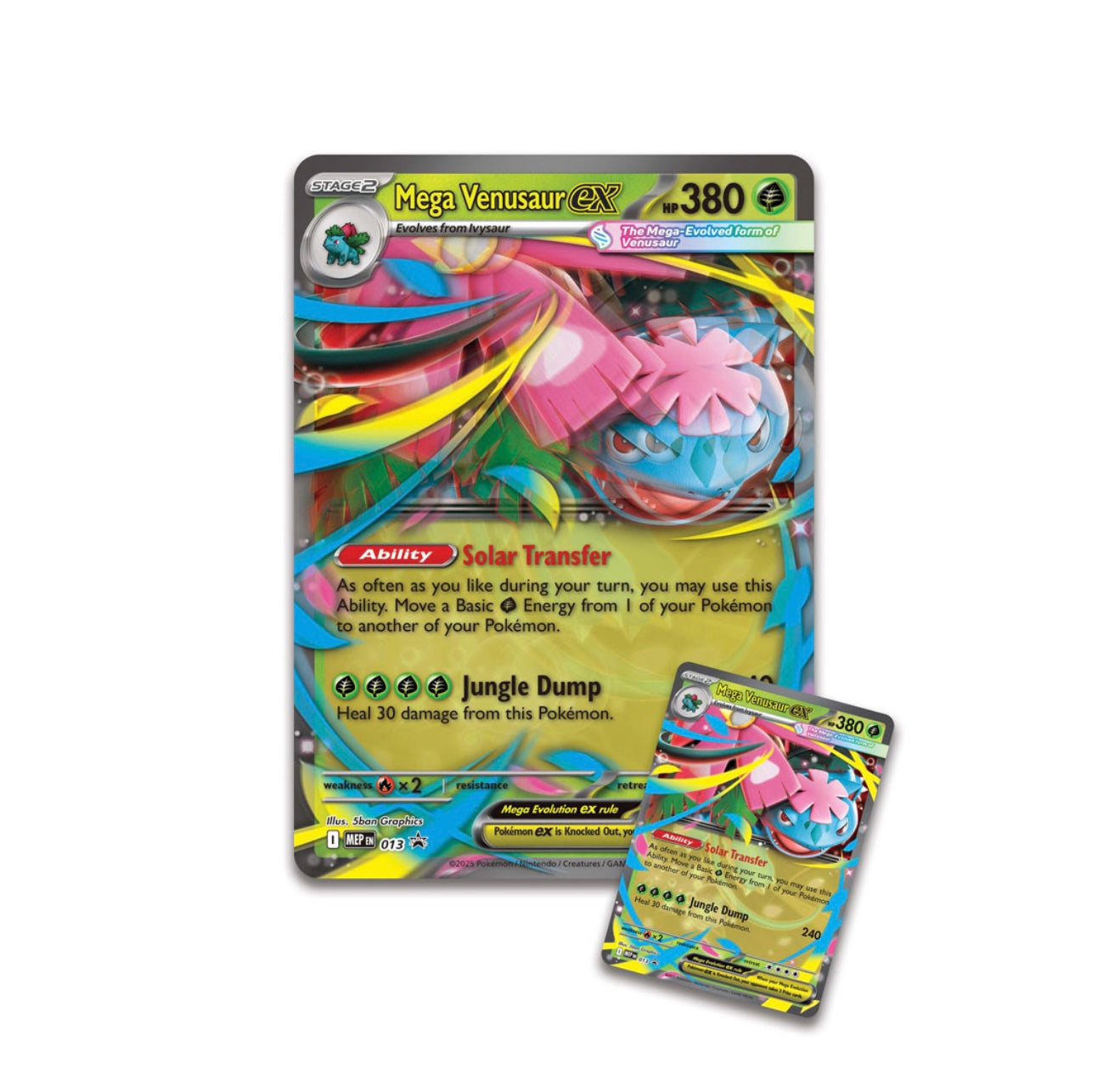 Pokemon - TCG - Mega Venusaur ex Premium Collection Box